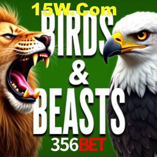 Apostas Esportivas na 356Bet: Um Guia Completo